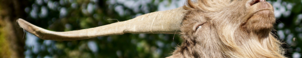 rocket science realty :: austin :: texas