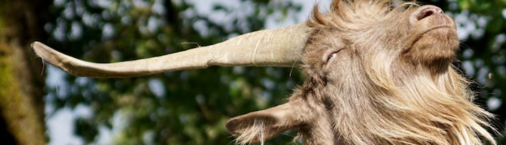 rocket science realty :: austin :: texas