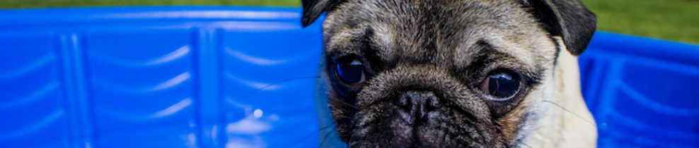 rocket science realty :: austin :: texas