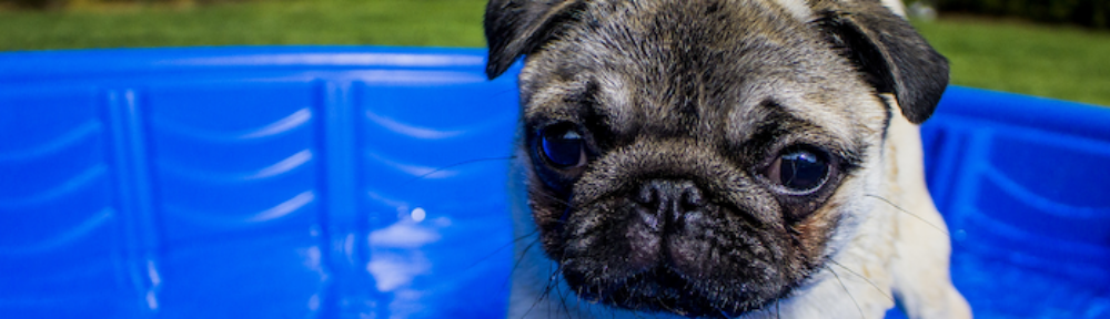 rocket science realty :: austin :: texas