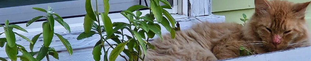 rocket science realty :: austin :: texas